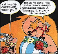 Obelix le pouvoir de la compétence