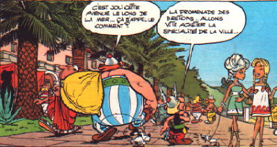 Asterix le pouvoir de l’expertise