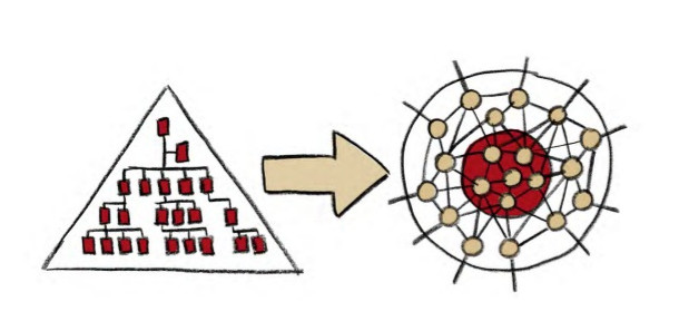 Organisation système complexe